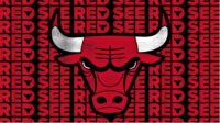 Chicago Bulls SEE RED logo and graphic